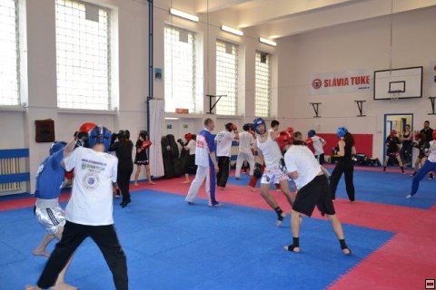 img00035.jpg